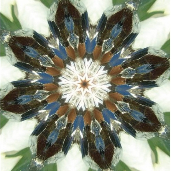 Meet your Posher, Heather - Picture 1 of 1